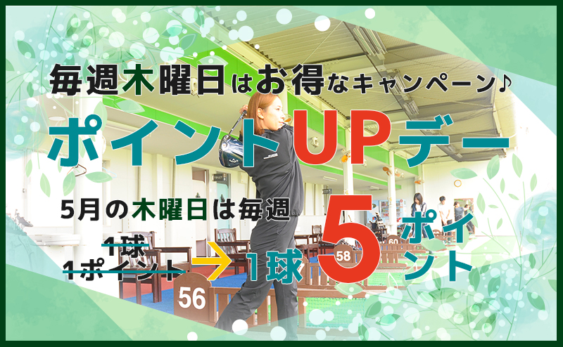 【5月】毎週木曜日はポイントUPデー!